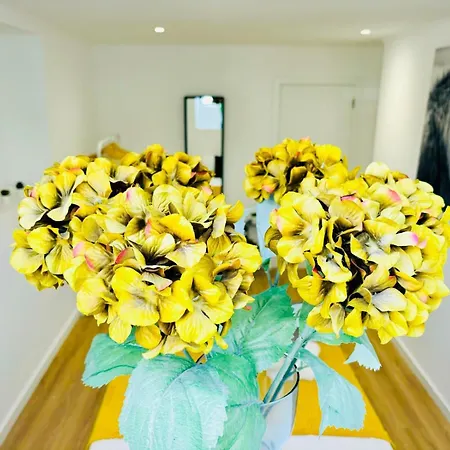 Luxury Flat, Perfect And Ideal For Tourists Appartement